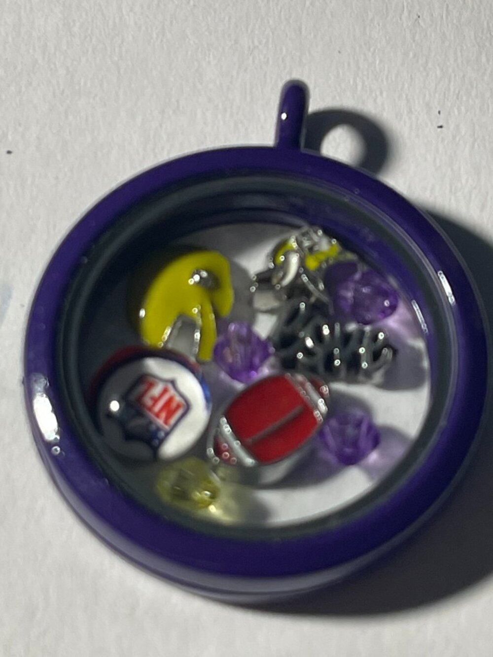 Minnesota Vikings NFL Memory Charm Locket w/ 22 IN chain NEW